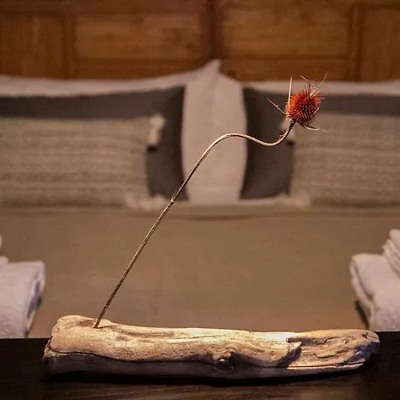 Lägenhet Raices *